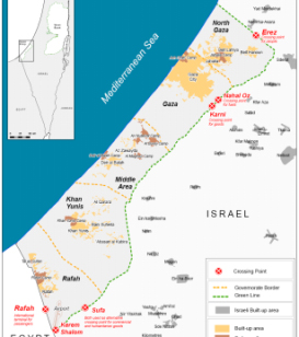 Gaza Ayuda Humanitaria Cruz Roja Castilla La Mancha